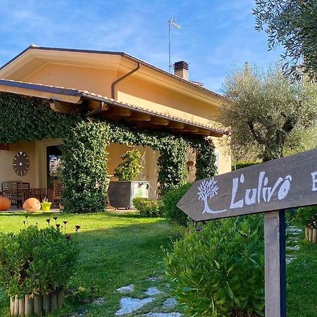 L' Ulivo Bed & Breakfast 테라모 외부 사진