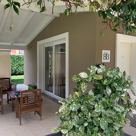 L' Ulivo Bed & Breakfast 테라모 외부 사진