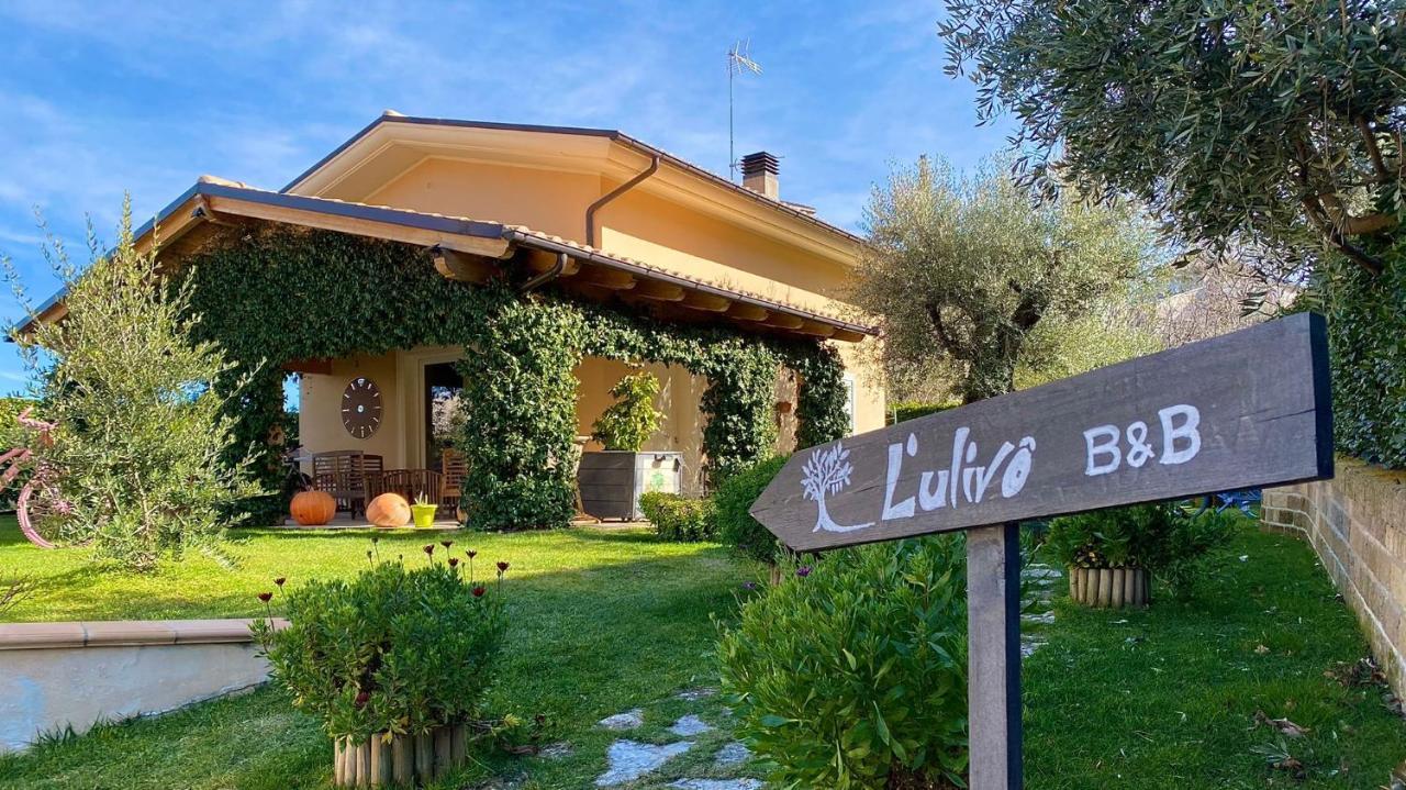 L' Ulivo Bed & Breakfast 테라모 외부 사진