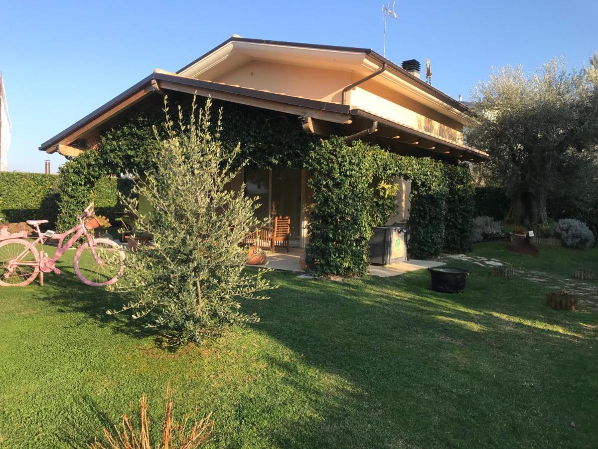 L' Ulivo Bed & Breakfast 테라모 외부 사진