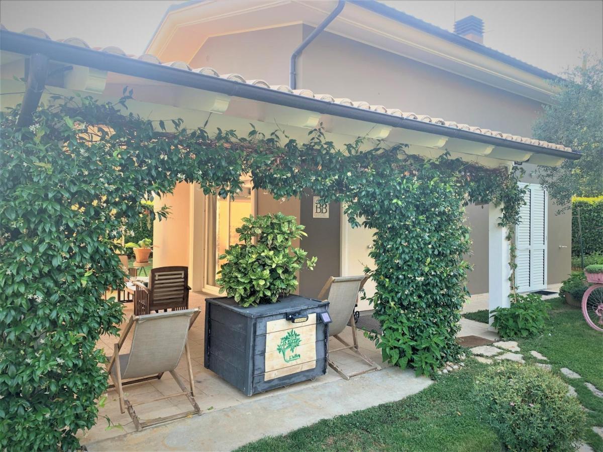 L' Ulivo Bed & Breakfast 테라모 외부 사진