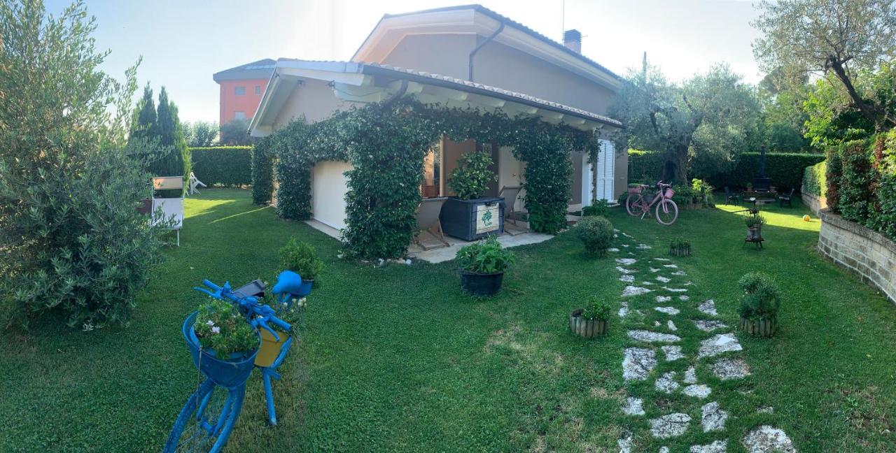 L' Ulivo Bed & Breakfast 테라모 외부 사진