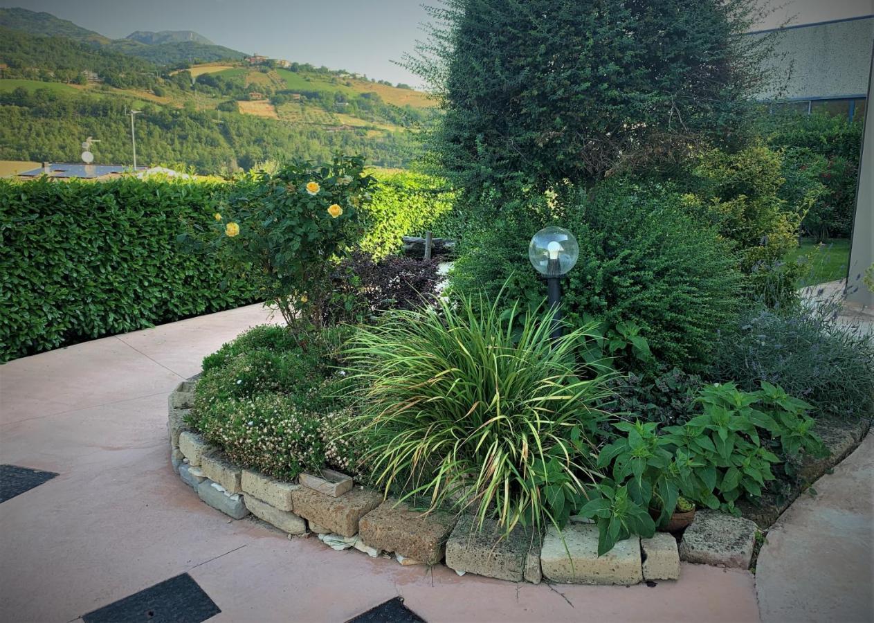 L' Ulivo Bed & Breakfast 테라모 외부 사진